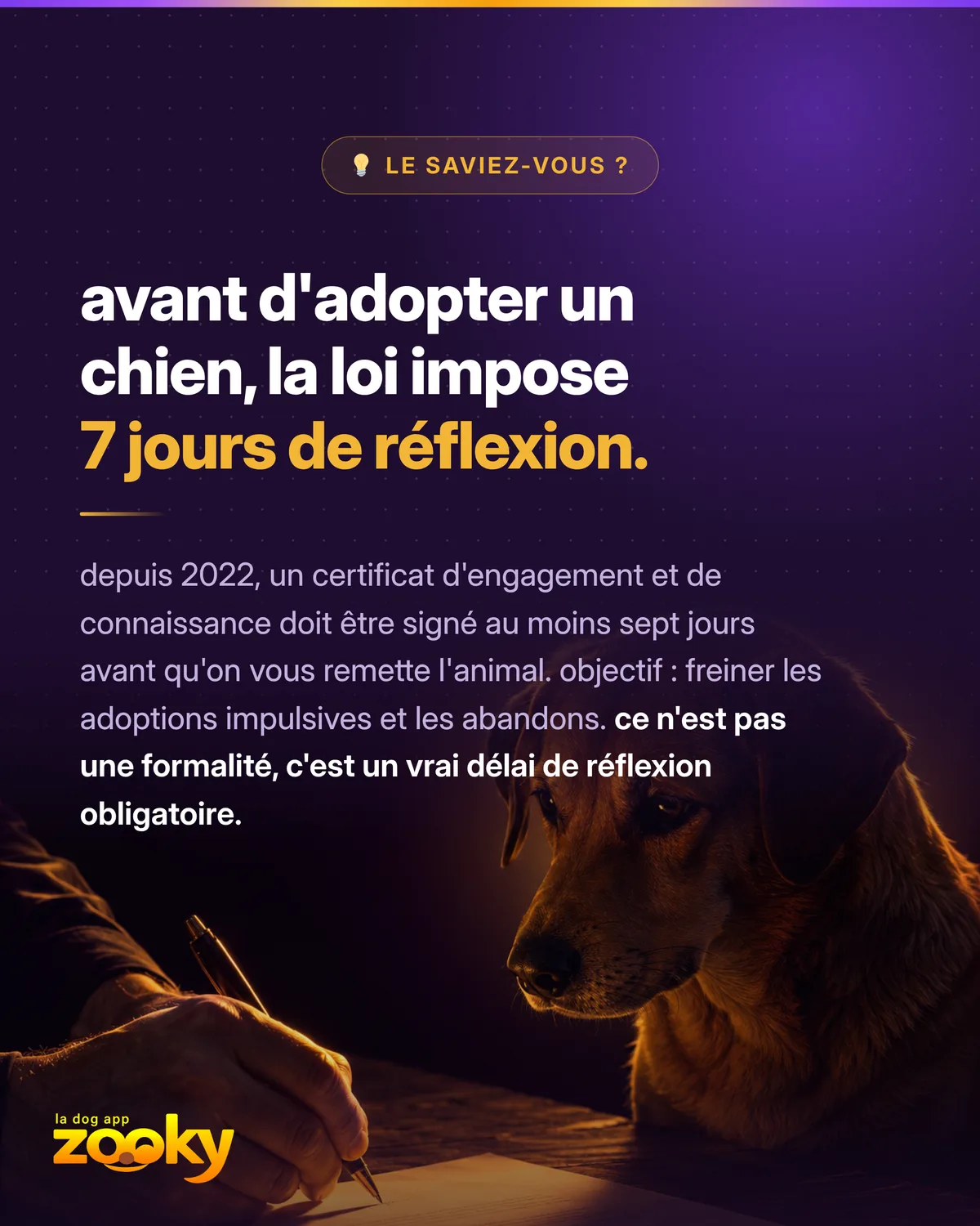 Personne signant un certificat d'engagement avant d'adopter un chien