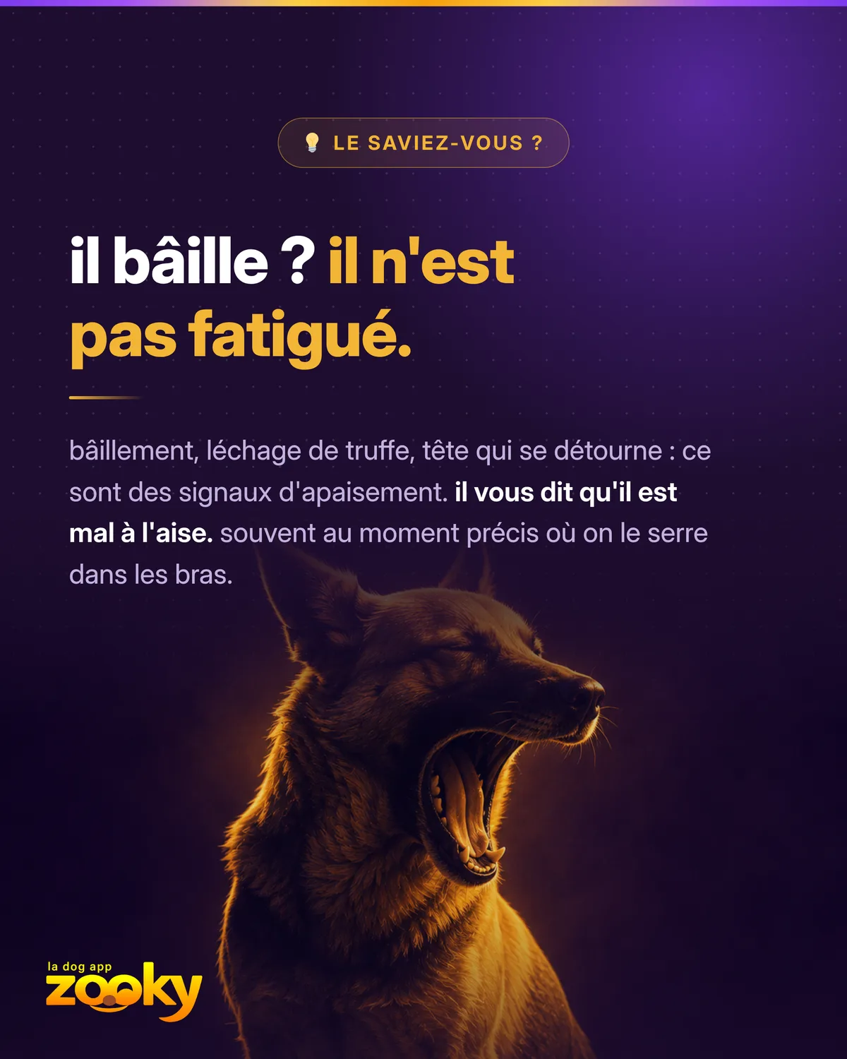 Chien en train de bâiller, un signal d'apaisement qui traduit un malaise