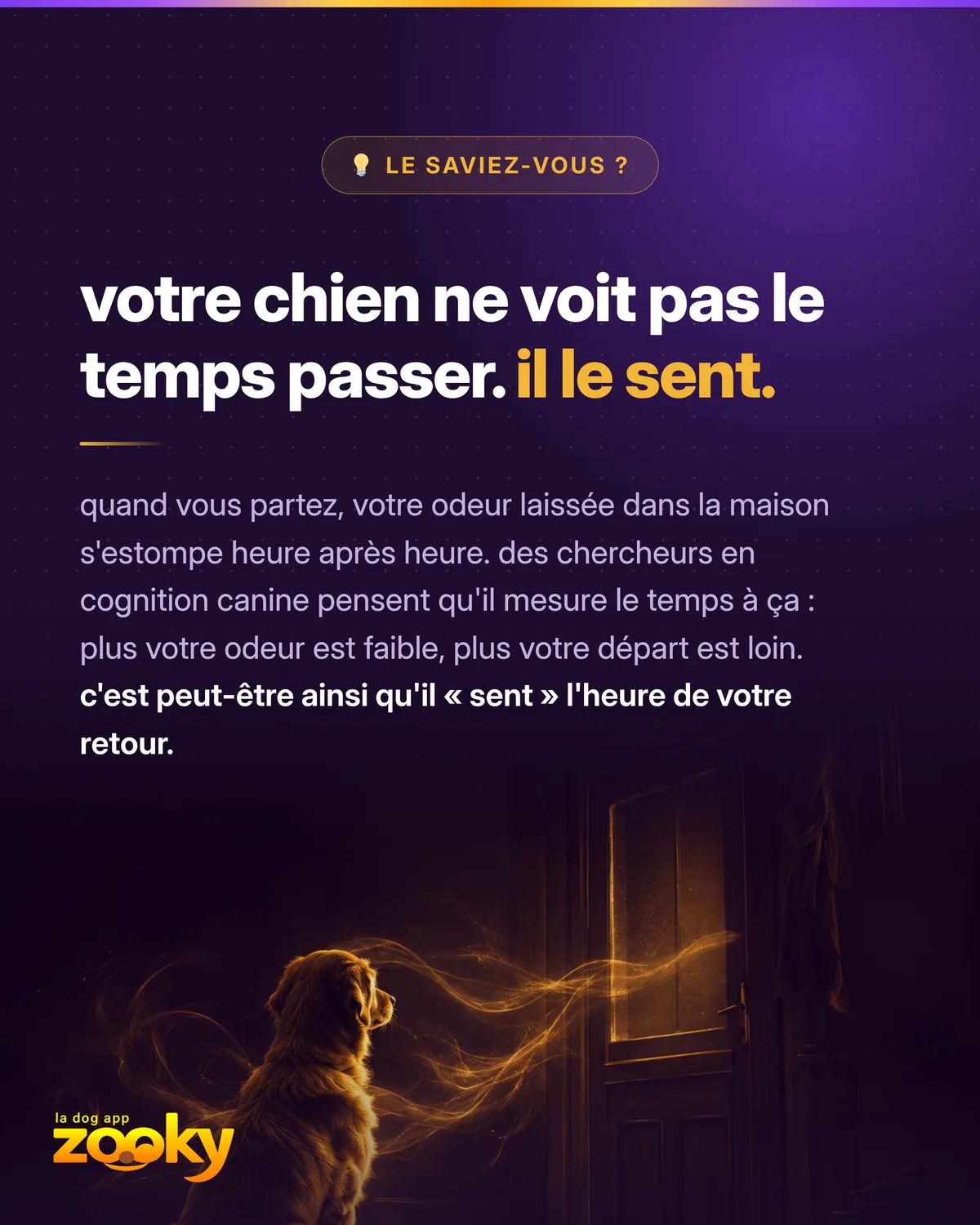 Chien attendant devant une porte : comment il perçoit le temps grâce à l'odorat